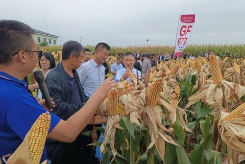 文水高效示范農業 科技種植引領助農發展新篇章