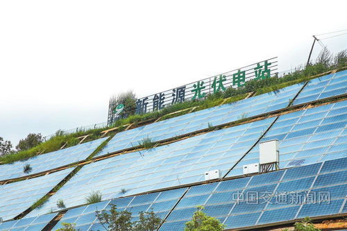 云南交投集團 以新質生產力賦能綠美通道經濟，推動種植技術開發創新