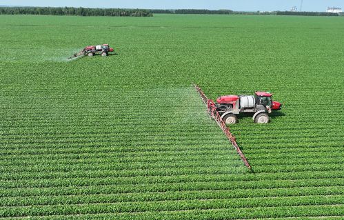 北大荒集團(tuán)北安分公司 以定制農(nóng)業(yè)與種植技術(shù)開(kāi)發(fā)，繪就高質(zhì)量發(fā)展新圖景