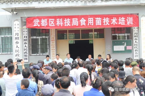 科技賦能農業，武都區科技局在月照鄉舉辦食用菌栽培技術培訓會助力鄉村振興