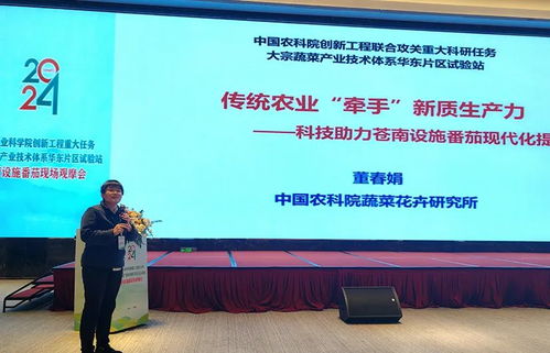 科技賦能，降本增效 中國農(nóng)科院助力設(shè)施番茄產(chǎn)業(yè)變革