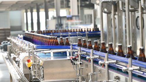 許巍 光良 長(zhǎng)春勞德巴赫火熱音樂節(jié)全陣容官宣